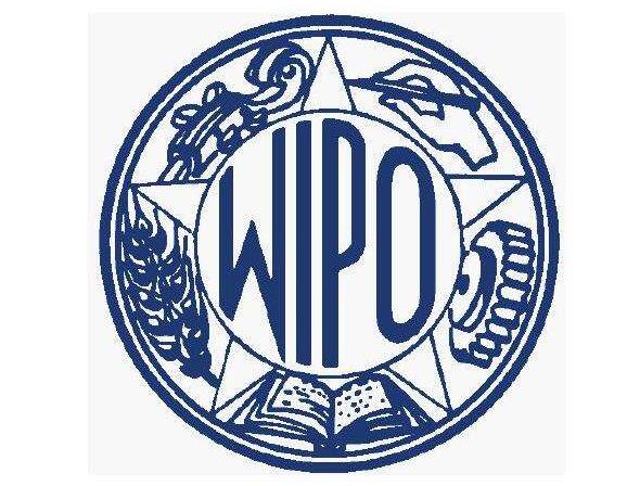 廣州外資公司注冊