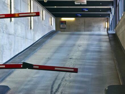 廣州進(jìn)出口許可證辦理