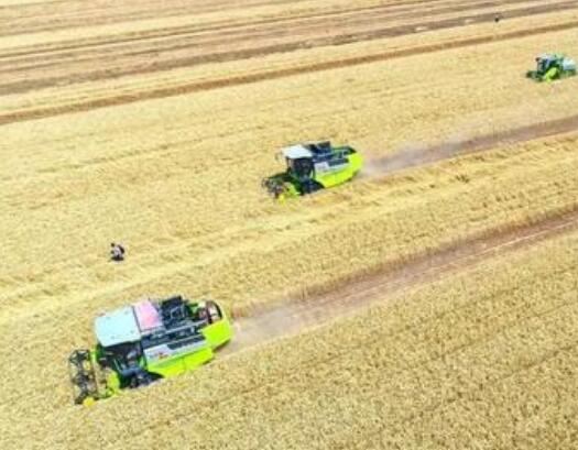 辦理進出口許可