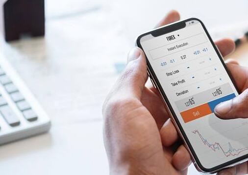 進(jìn)出口許可證和出口許可證分別是什么？